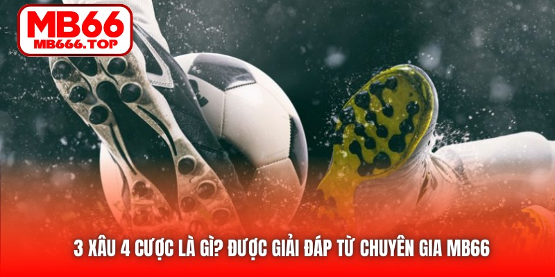 3 xâu 4 cược là gì? được giải đáp từ chuyên gia MB66 
